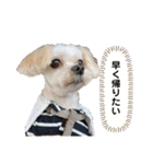 まるはあなたを幸せにする（個別スタンプ：36）