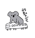 中年コアラ（個別スタンプ：11）