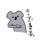 中年コアラ（個別スタンプ：12）