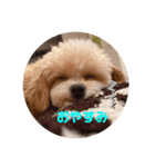 ぴのすたんぷ2（個別スタンプ：4）