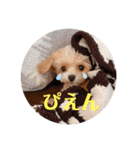 ぴのすたんぷ2（個別スタンプ：7）
