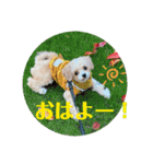 ぴのすたんぷ2（個別スタンプ：14）