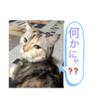 気ままなメルさん No.3（個別スタンプ：2）
