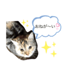 気ままなメルさん No.3（個別スタンプ：3）