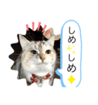 気ままなメルさん No.3（個別スタンプ：8）