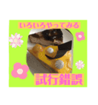 四字熟語とインド料理（個別スタンプ：16）