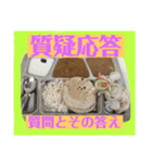 四字熟語とインド料理（個別スタンプ：18）