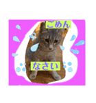 想いを乗せて（個別スタンプ：4）