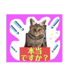 想いを乗せて（個別スタンプ：5）