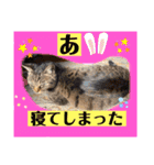 想いを乗せて（個別スタンプ：11）