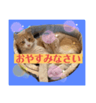 想いを乗せて（個別スタンプ：12）