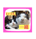 想いを乗せて（個別スタンプ：13）