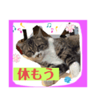 想いを乗せて（個別スタンプ：15）