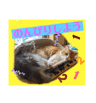 想いを乗せて（個別スタンプ：16）