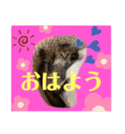 想いを乗せて（個別スタンプ：19）