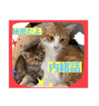 想いを乗せて（個別スタンプ：20）
