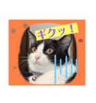 想いを乗せて（個別スタンプ：21）