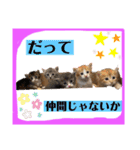 想いを乗せて（個別スタンプ：25）