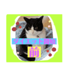 想いを乗せて（個別スタンプ：28）