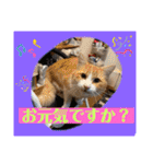想いを乗せて（個別スタンプ：30）