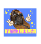 想いを乗せて（個別スタンプ：31）