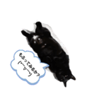 黒猫ZiZiごろにゃんスタンプ第1段（個別スタンプ：1）