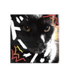 黒猫ZiZiごろにゃんスタンプ第1段（個別スタンプ：3）
