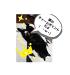黒猫ZiZiごろにゃんスタンプ第1段（個別スタンプ：4）