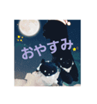 黒猫ZiZiごろにゃんスタンプ第1段（個別スタンプ：6）