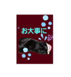 黒猫ZiZiごろにゃんスタンプ第1段（個別スタンプ：9）