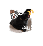 黒猫ZiZiごろにゃんスタンプ第1段（個別スタンプ：13）