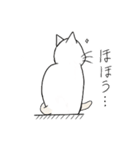 白猫と犬の日常（個別スタンプ：5）