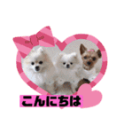 なつ♡ひな♡はな♡もな  日常（個別スタンプ：3）