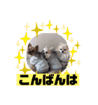 なつ♡ひな♡はな♡もな  日常（個別スタンプ：4）