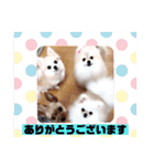 なつ♡ひな♡はな♡もな  日常（個別スタンプ：6）
