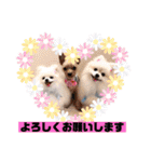 なつ♡ひな♡はな♡もな  日常（個別スタンプ：7）