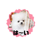 なつ♡ひな♡はな♡もな  日常（個別スタンプ：8）
