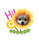 なつ♡ひな♡はな♡もな  日常（個別スタンプ：9）