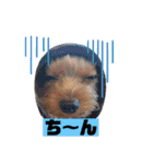 なつ♡ひな♡はな♡もな  日常（個別スタンプ：10）