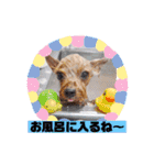 なつ♡ひな♡はな♡もな  日常（個別スタンプ：12）