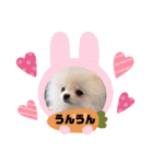 なつ♡ひな♡はな♡もな  日常（個別スタンプ：13）
