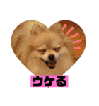 なつ♡ひな♡はな♡もな  日常（個別スタンプ：15）