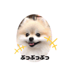 なつ♡ひな♡はな♡もな  日常（個別スタンプ：16）
