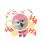 なつ♡ひな♡はな♡もな  日常（個別スタンプ：17）