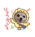 なつ♡ひな♡はな♡もな  日常（個別スタンプ：21）