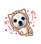 なつ♡ひな♡はな♡もな  日常（個別スタンプ：26）