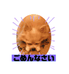 なつ♡ひな♡はな♡もな  日常（個別スタンプ：29）