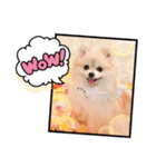 なつ♡ひな♡はな♡もな  日常（個別スタンプ：30）
