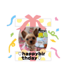 なつ♡ひな♡はな♡もな  日常（個別スタンプ：39）