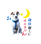 四郎とさくら♥（個別スタンプ：2）